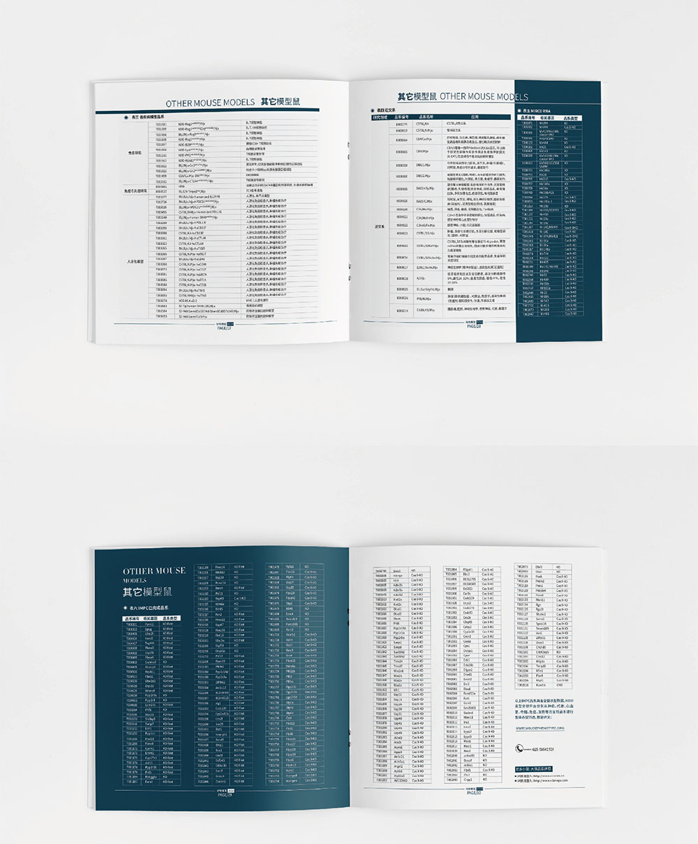 模型企業畫冊設計,模型企業畫冊設計公司